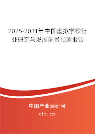 2025-2031年中國虛擬學校行業研究與發展前景預測報告