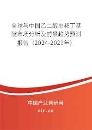 全球與中國乙二醇單叔丁基醚市場分析及前景趨勢預測報告（2024-2029年）
