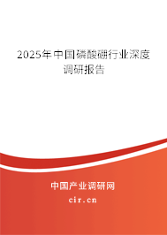 2025年中國磷酸硼行業深度調研報告