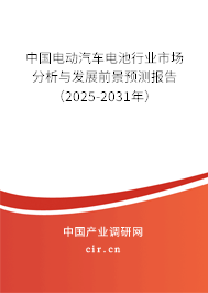 中國電動汽車電池行業市場分析與發展前景預測報告（2025-2031年）