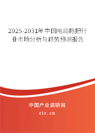 2024-2030年中國電動拖把行業市場分析與趨勢預測報告
