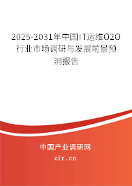 2025-2031年中國IT運維O2O行業(yè)市場調研與發(fā)展前景預測報告