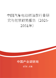 中國汽車電動燃油泵行業研究與前景趨勢報告（2025-2031年）