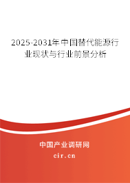 2025-2031年中國替代能源行業現狀與行業前景分析