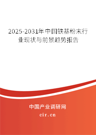 2025-2031年中國鐵基粉末行業(yè)現(xiàn)狀與前景趨勢報告