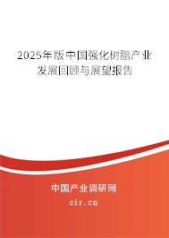 2025年版中國強化樹脂產業發展回顧與展望報告