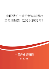 中國壁爐市場(chǎng)分析與前景趨勢(shì)預(yù)測(cè)報(bào)告（2025-2031年）