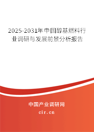 2025-2031年中國醇基燃料行業調研與發展前景分析報告