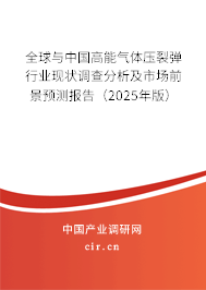 全球與中國高能氣體壓裂彈行業現狀調查分析及市場前景預測報告（2024年版）
