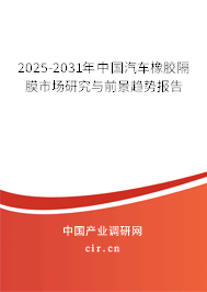 2025-2031年中國(guó)汽車橡膠隔膜市場(chǎng)研究與前景趨勢(shì)報(bào)告