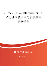 2025-2030年中國智能控制系統行業現狀研究與發展前景分析報告