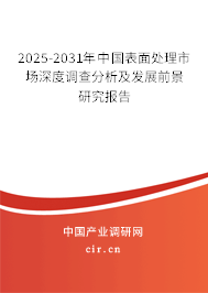 2024-2030年中國表面處理市場深度調查分析及發展前景研究報告