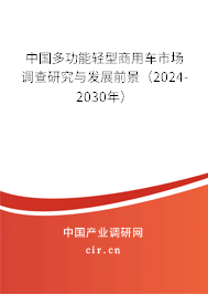 中國多功能輕型商用車市場調查研究與發展前景（2024-2030年）