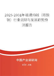 2025-2031年福建純堿（碳酸鈉）行業調研與發展趨勢預測報告