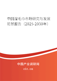 中國濕毛巾市場研究與發展前景報告（2025-2030年）