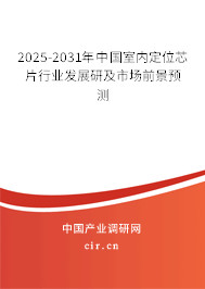 2025-2031年中國(guó)室內(nèi)定位芯片行業(yè)發(fā)展研及市場(chǎng)前景預(yù)測(cè)