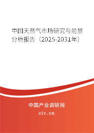 中國天然氣市場研究與前景分析報告（2025-2031年）