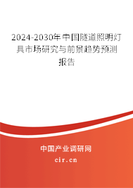 2024-2030年中國隧道照明燈具市場研究與前景趨勢預測報告