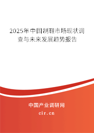 2025年中國制鞋市場現狀調查與未來發展趨勢報告