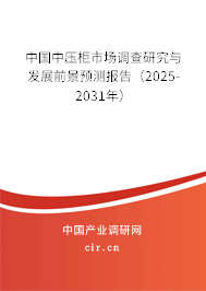 中國中壓柜市場調查研究與發展前景預測報告（2025-2031年）