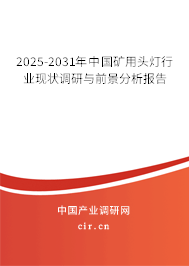 2025-2031年中國礦用頭燈行業(yè)現(xiàn)狀調(diào)研與前景分析報告