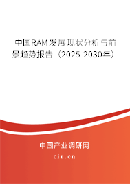 中國RAM發展現狀分析與前景趨勢報告（2025-2030年）