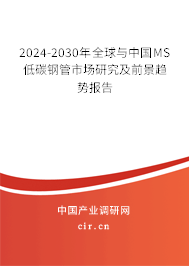 2024-2030年全球與中國MS低碳鋼管市場研究及前景趨勢報告