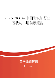 2024-2030年中國磁鐵礦行業現狀與市場前景報告