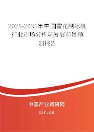 2025-2031年中國雪花制冰機行業市場分析與發展前景預測報告