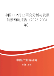 中國FEP行業(yè)研究分析與發(fā)展前景預(yù)測報(bào)告（2025-2031年）