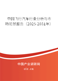 中國飛行汽車行業分析與市場前景報告（2025-2031年）
