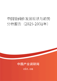中國管閥件發展現狀與趨勢分析報告（2024-2030年）