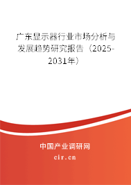 廣東顯示器行業(yè)市場分析與發(fā)展趨勢研究報告（2025-2031年）