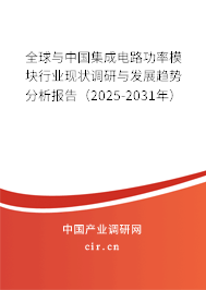 全球與中國集成電路功率模塊行業現狀調研與發展趨勢分析報告（2025-2031年）