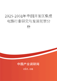 2025-2031年中國開發區集成電路行業研究與發展前景分析