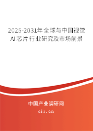 2025-2031年全球與中國視覺AI芯片行業研究及市場前景