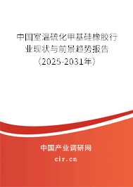 中國室溫硫化甲基硅橡膠行業現狀與前景趨勢報告（2025-2031年）