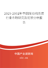 2025-2031年中國發動機總成行業市場研究及前景分析報告