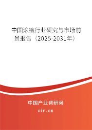 中國滾鍍行業(yè)研究與市場前景報告（2025-2031年）