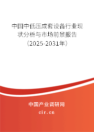 中國中低壓成套設備行業現狀分析與市場前景報告（2025-2031年）