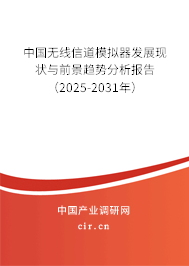 中國無線信道模擬器發展現狀與前景趨勢分析報告（2025-2031年）