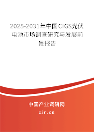 2024-2030年中國CIGS光伏電池市場調(diào)查研究與發(fā)展前景報告