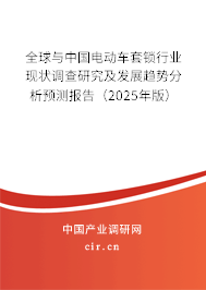 全球與中國電動車套鎖行業現狀調查研究及發展趨勢分析預測報告（2024年版）