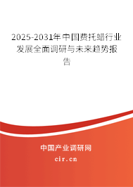2024-2030年中國費托蠟行業發展全面調研與未來趨勢報告