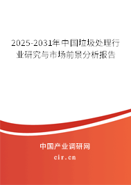 2025-2031年中國垃圾處理行業研究與市場前景分析報告