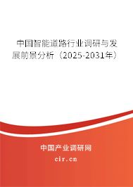 中國智能道路行業調研與發展前景分析（2024-2030年）