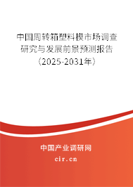 中國周轉(zhuǎn)箱塑料模市場調(diào)查研究與發(fā)展前景預(yù)測報告（2025-2031年）