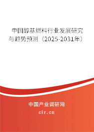 中國醇基燃料行業發展研究與趨勢預測（2025-2031年）