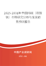 2025-2031年中國純堿（碳酸鈉）市場研究分析與發展趨勢預測報告