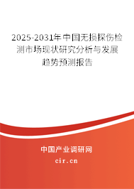 2025-2031年中國無損探傷檢測市場現狀研究分析與發展趨勢預測報告